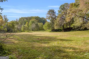 438 Turner Rd, Cleveland, GA 30528 - Photo 53