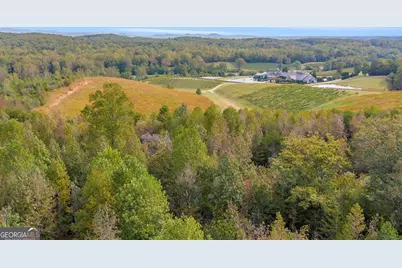 438 Turner Road, Cleveland, GA 30528 - Photo 73