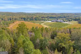 438 Turner Rd, Cleveland, GA 30528 - Photo 73