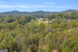 438 Turner Rd, Cleveland, GA 30528 - Photo 69