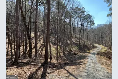 1243R Onyx Court, Ranger, GA 30734 - Photo 3