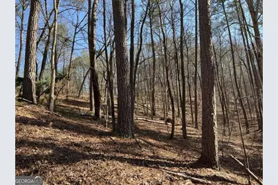 1243R Onyx Court, Ranger, GA 30734 - Photo 7