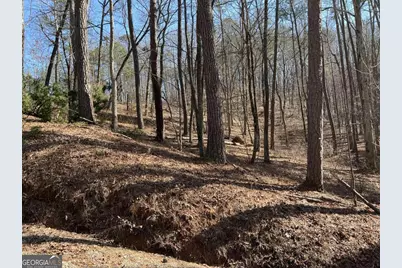 1243R Onyx Court, Ranger, GA 30734 - Photo 9