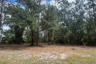 86 Marsh Creek Blvd, Waverly, GA 31565 - Photo 1