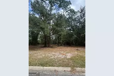 86 Marsh Creek Boulevard, Waverly, GA 31565 - Photo 3