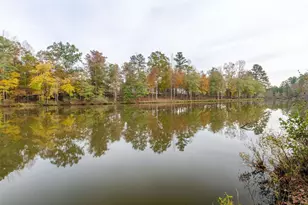 130 Dockside Dr, Fayetteville, GA 30215 - Photo 87