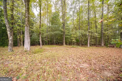 931 S Jeff Davis Drive, Fayetteville, GA 30215 - Photo 73