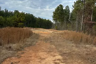 0 S Hwy 225, Chatsworth, GA 30705 - Photo 49