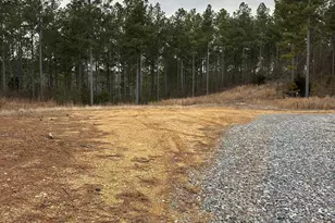 0 S Hwy 225, Chatsworth, GA 30705 - Photo 21