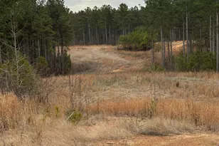 0 S Hwy 225, Chatsworth, GA 30705 - Photo 35