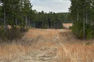 0 S Hwy 225, Chatsworth, GA 30705 - Photo 45