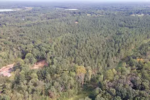 0 S Hwy 225, Chatsworth, GA 30705 - Photo 15