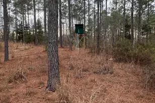 0 S Hwy 225, Chatsworth, GA 30705 - Photo 41