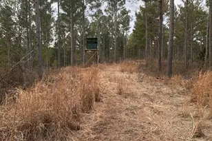 0 S Hwy 225, Chatsworth, GA 30705 - Photo 29