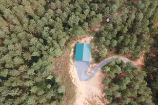 0 S Hwy 225, Chatsworth, GA 30705 - Photo 9