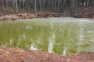 0 S Hwy 225, Chatsworth, GA 30705 - Photo 47