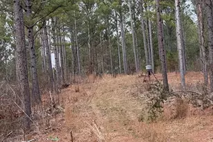 0 S Hwy 225, Chatsworth, GA 30705 - Photo 25