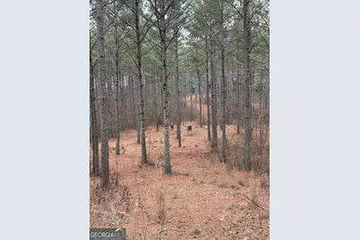 0 S Highway 225 #9659, Chatsworth, GA 30705 - Photo 37