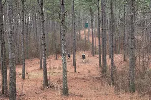 0 S Hwy 225, Chatsworth, GA 30705 - Photo 37