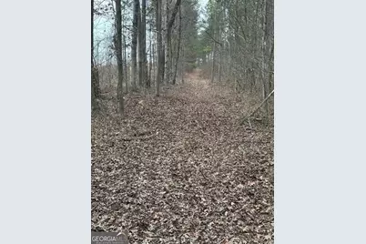 0 S Highway 225 #9659, Chatsworth, GA 30705 - Photo 39