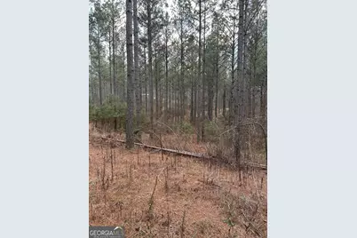 0 S Highway 225 #9659, Chatsworth, GA 30705 - Photo 27