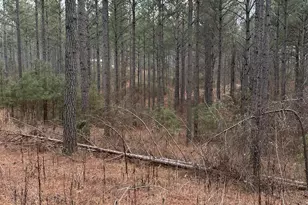 0 S Hwy 225, Chatsworth, GA 30705 - Photo 27