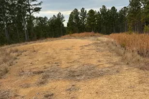 0 S Hwy 225, Chatsworth, GA 30705 - Photo 31