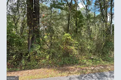 0 Hwy 101 and Dean Road, Aragon, GA 30104 - Photo 5