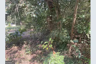 207 Morris Street, Palmetto, GA 30268 - Photo 5