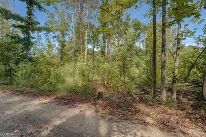 0 Rocky Creek Road, Mansfield, GA 30055 - Photo 3