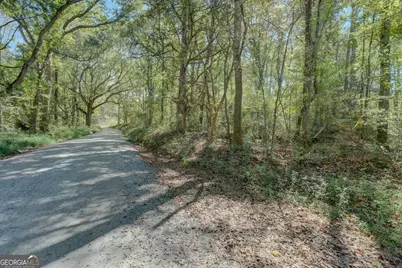 0 Rocky Creek Road, Mansfield, GA 30055 - Photo 11