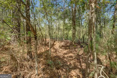 0 Rocky Creek Road, Mansfield, GA 30055 - Photo 5
