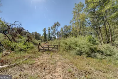 0 Rocky Creek Road, Mansfield, GA 30055 - Photo 7