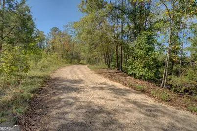 0 Rocky Creek Road, Mansfield, GA 30055 - Photo 1