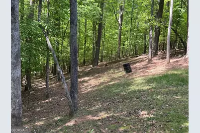 55 Monitor Drive, Ellijay, GA 30540 - Photo 29