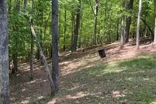 55 Monitor Dr, Ellijay, GA 30540 - Photo 29