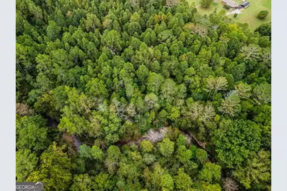 2.09 Old Northcutt Road, Ellijay, GA 30540 - Photo 9