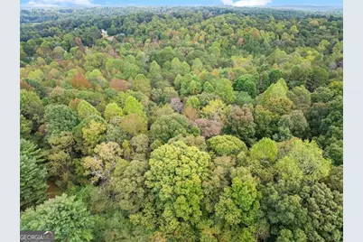 6668 Belton Bridge Road, Lula, GA 30554 - Photo 17