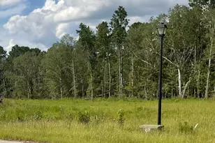 0 Lots 9 & 10 Hidden Hills, Vidalia, GA 30474 - Photo 1