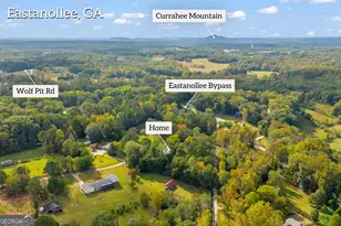 290 Indian Dr, Eastanollee, GA 30538 - Photo 85