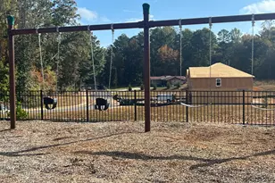 336 Jarrett St, Fairburn, GA 30213 - Photo 25