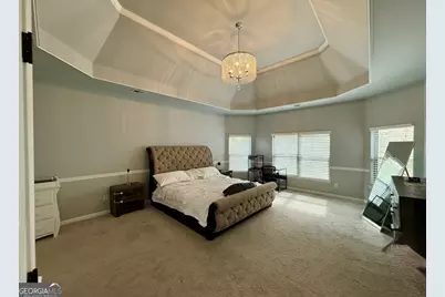 310 Savannah Drive, Senoia, GA 30276 - Photo 11