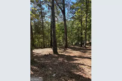 3191 Wallace Drive, Douglasville, GA 30135 - Photo 13