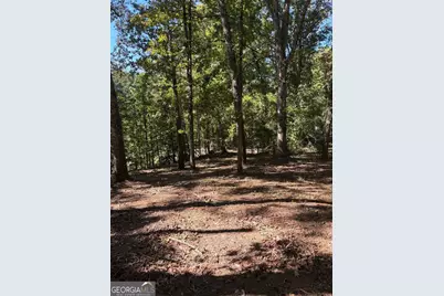 3191 Wallace Drive, Douglasville, GA 30135 - Photo 11