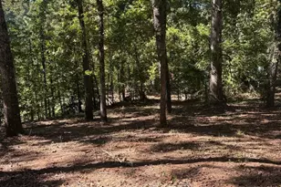 3191 Wallace Dr, Douglasville, GA 30135 - Photo 11