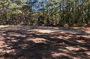 3191 Wallace Dr, Douglasville, GA 30135 - Photo 9