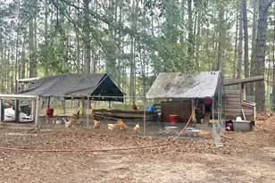 251 Bill Hambrick Rd, Eastman, GA 31023 - Photo 9