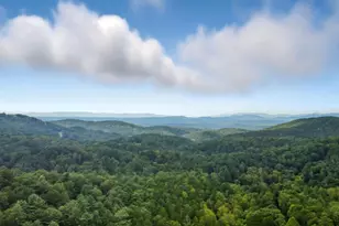 330 Skyview Dr, Ellijay, GA 30536 - Photo 5