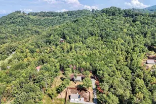 63 Nottaway Ln, Young Harris, GA 30582 - Photo 33