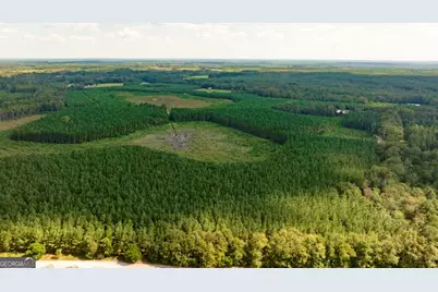 0 Hudson Ferry Rd. & Newington Highway, Newington, GA 30446 - Photo 35